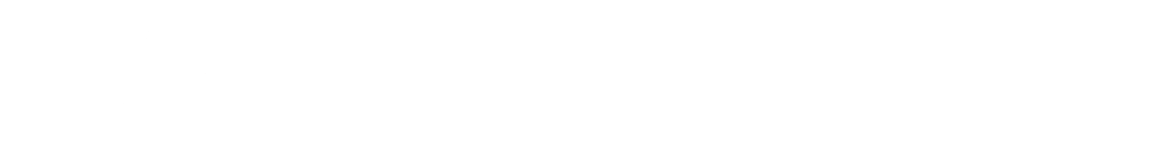 logo-s12-light